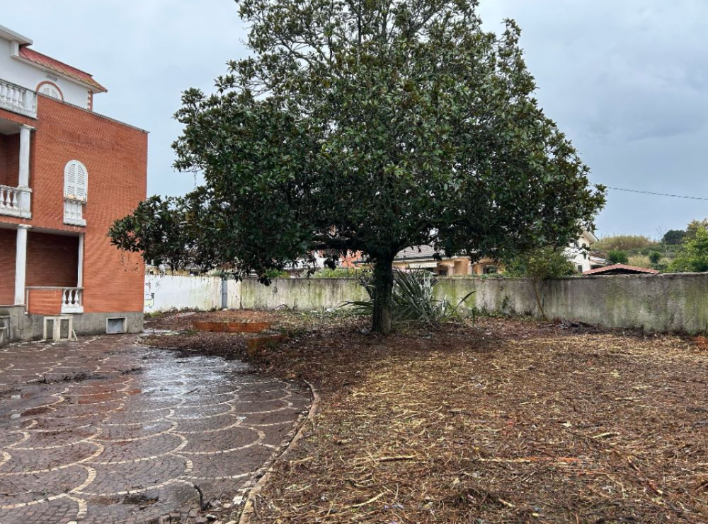 immagine annuncio 11 di 13
