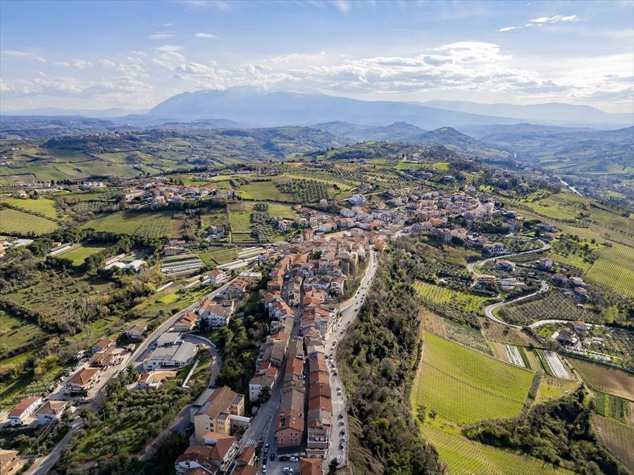 immagine annuncio 1 di 13