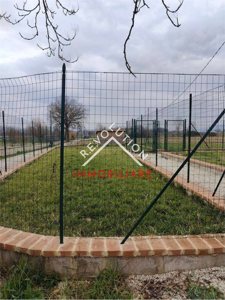 immagine annuncio 6 di 7