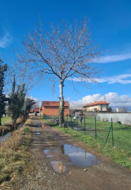 immagine annuncio 1 di 13
