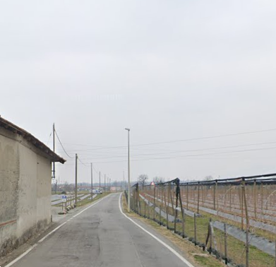immagine annuncio 12 di 13