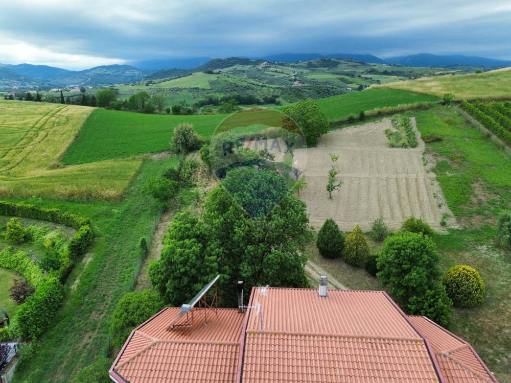 immagine annuncio 7 di 13