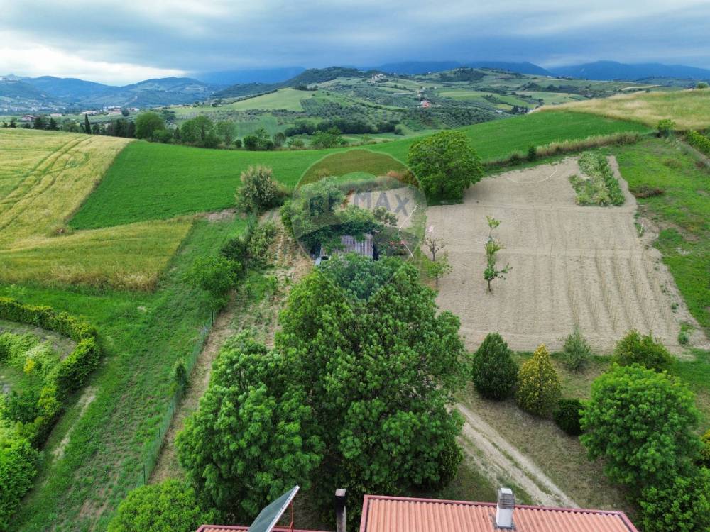 immagine annuncio 6 di 13