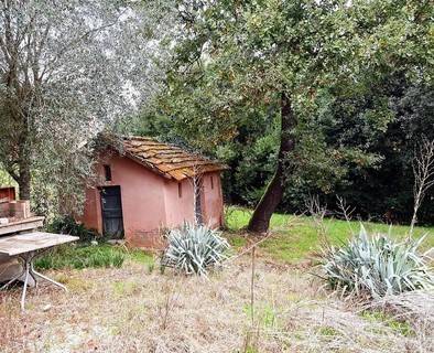 immagine annuncio 7 di 13