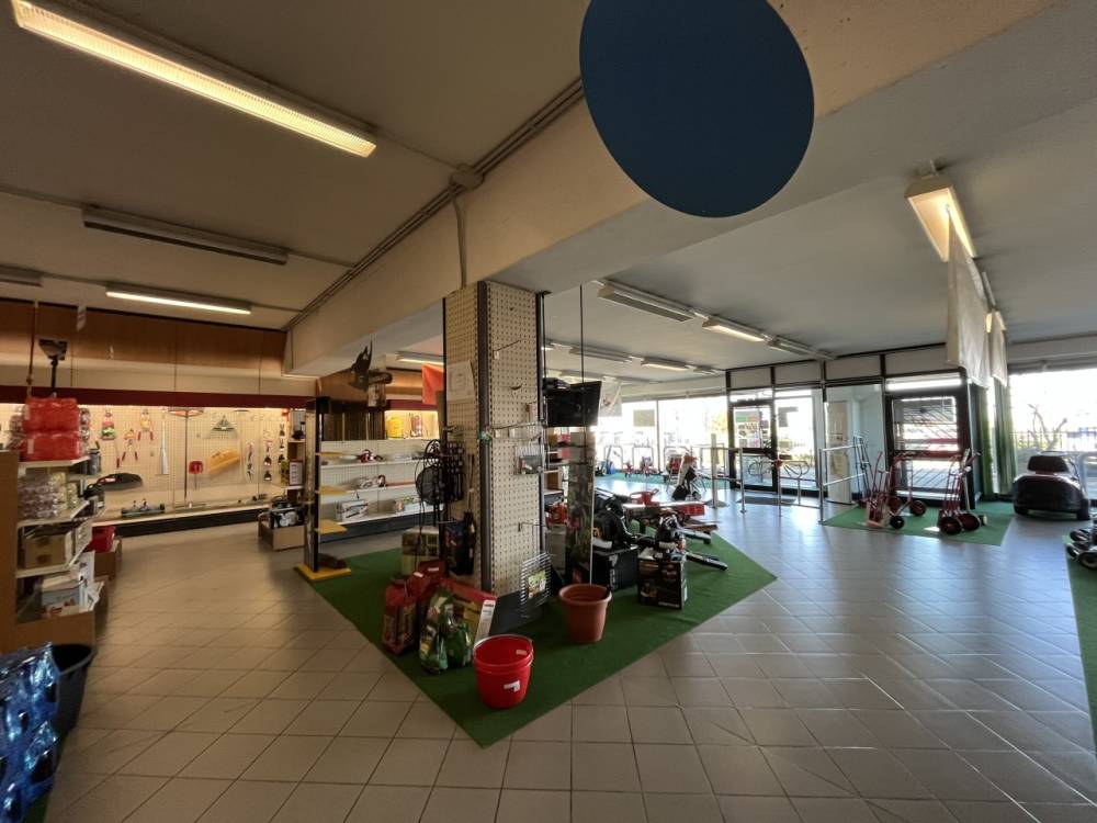 immagine annuncio 8 di 13