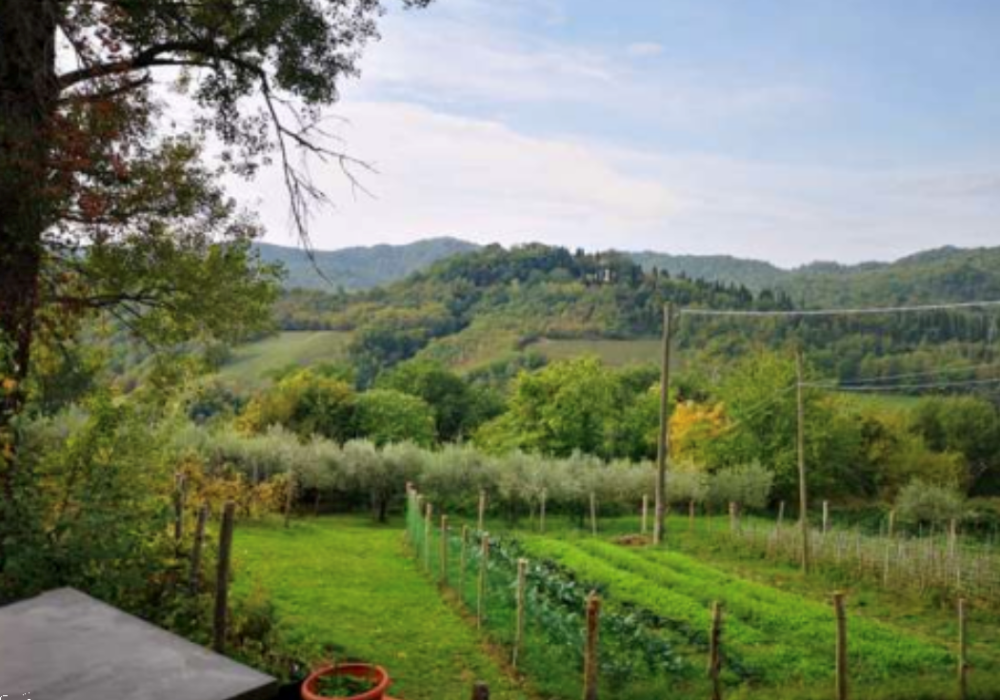 immagine annuncio 1 di 13