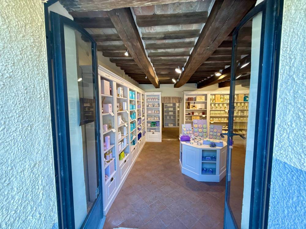 immagine annuncio 13 di 14