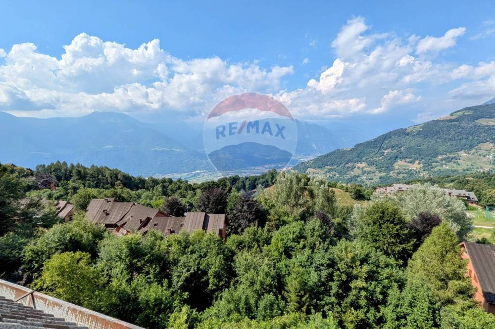 immagine annuncio 12 di 13