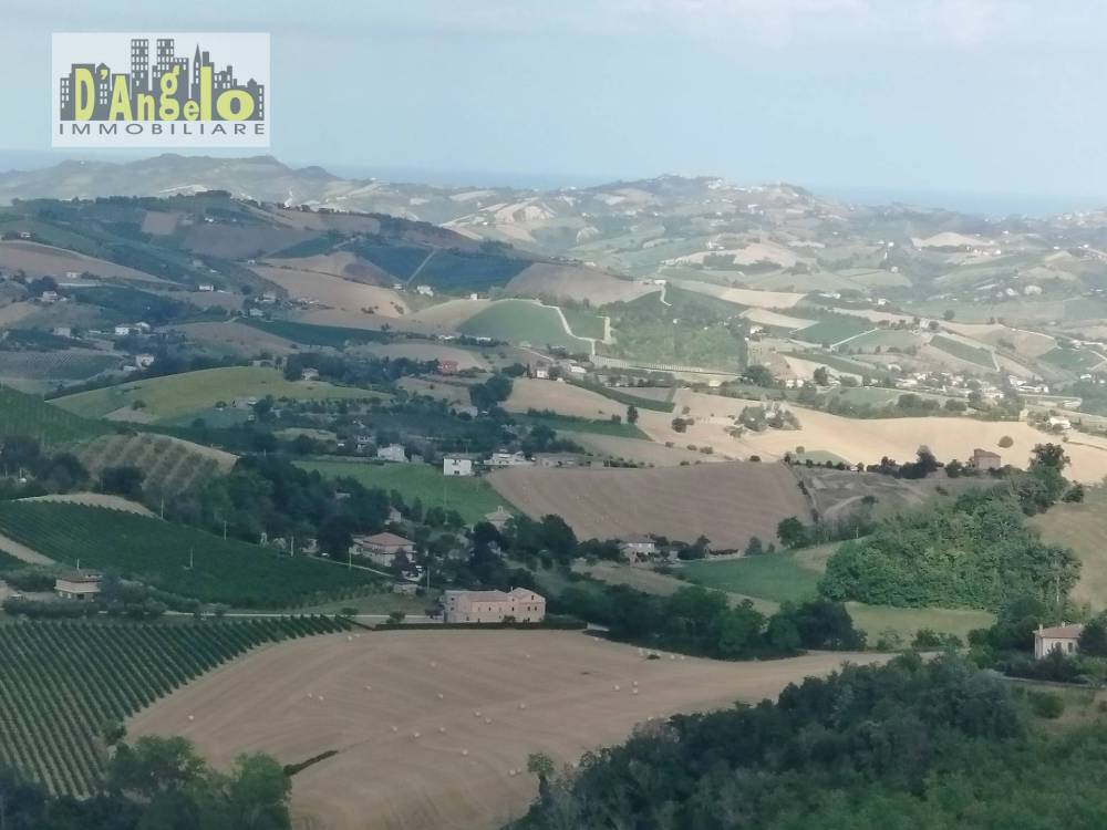 immagine annuncio 11 di 12