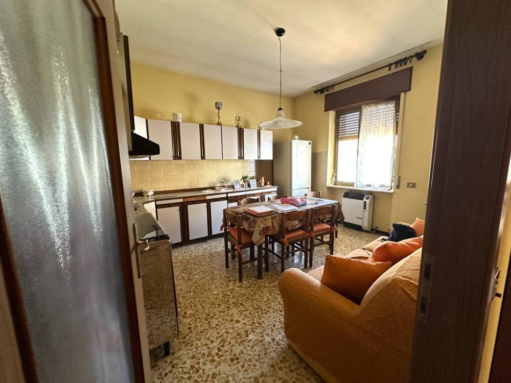 immagine annuncio 1 di 13