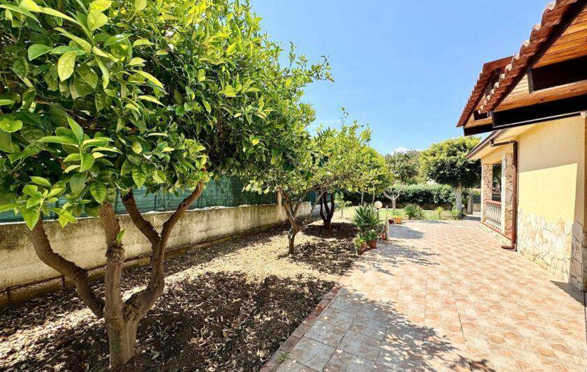 immagine annuncio 1 di 14