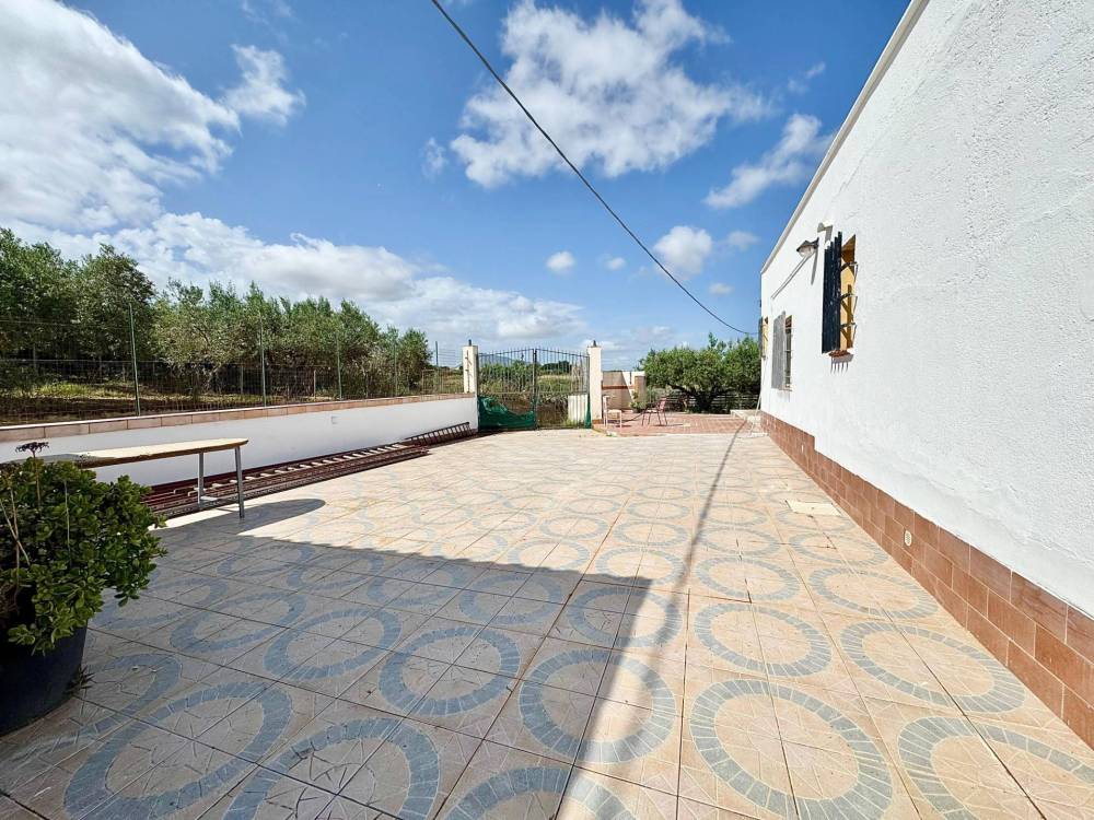 immagine annuncio 10 di 13