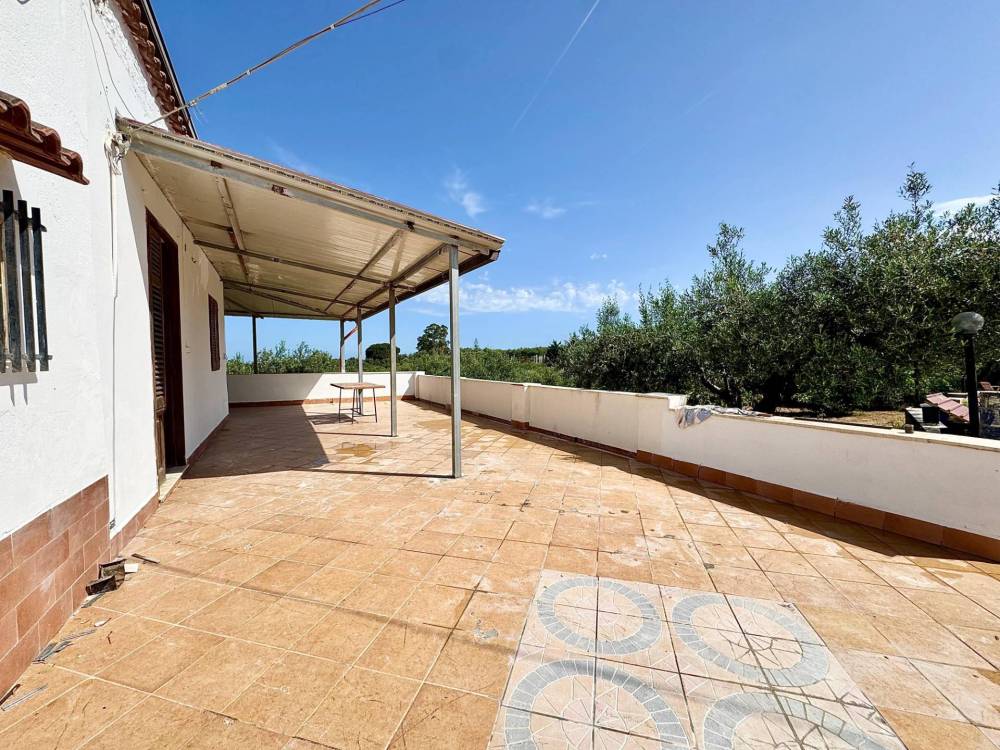 immagine annuncio 8 di 13