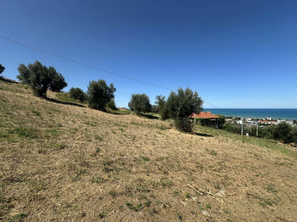 immagine annuncio 8 di 9
