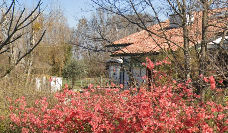 immagine annuncio 11 di 13