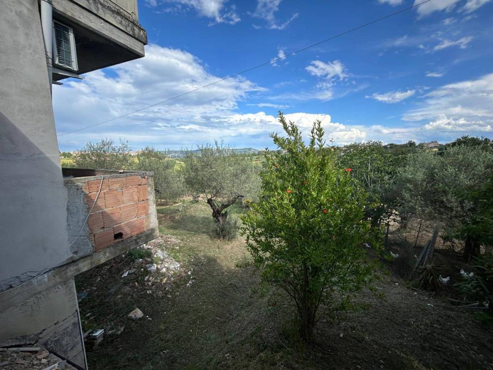immagine annuncio 10 di 13