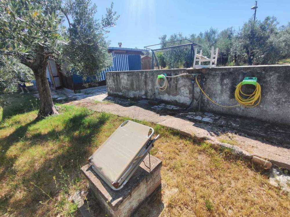 immagine annuncio 9 di 13