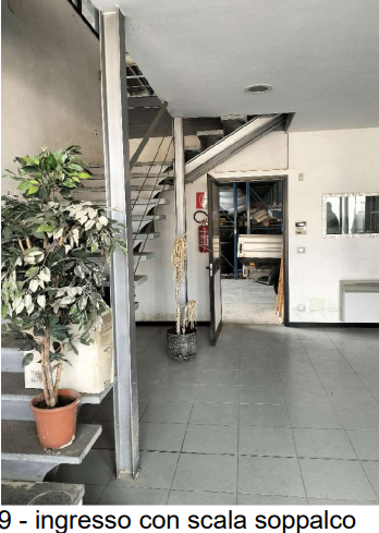 immagine annuncio 2 di 12