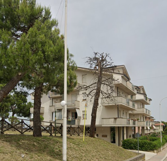immagine annuncio 7 di 13