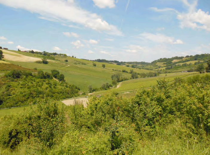 immagine annuncio 3 di 13