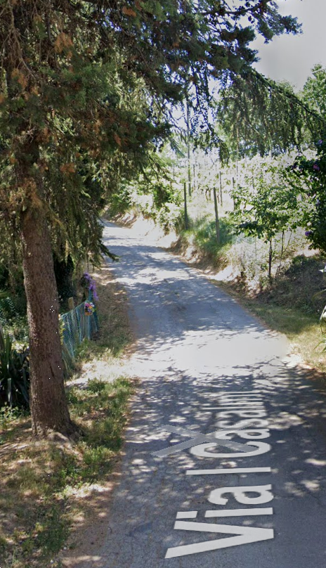 immagine annuncio 12 di 13
