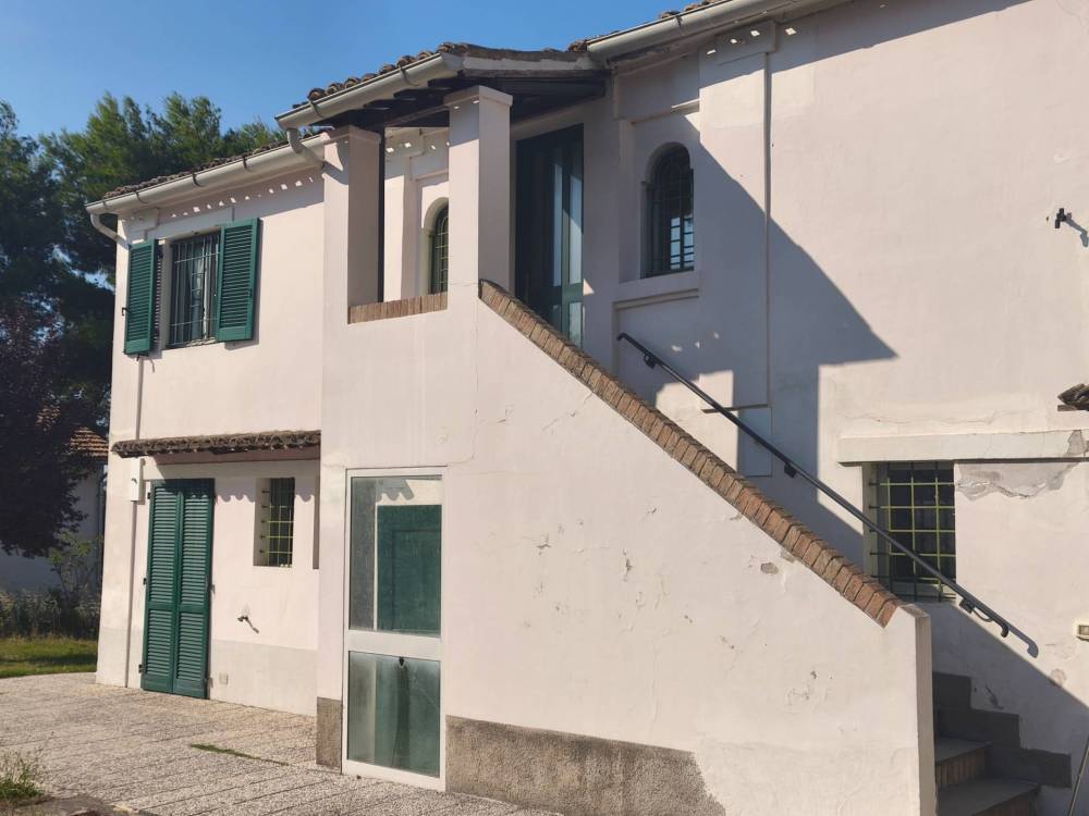 immagine annuncio 11 di 12