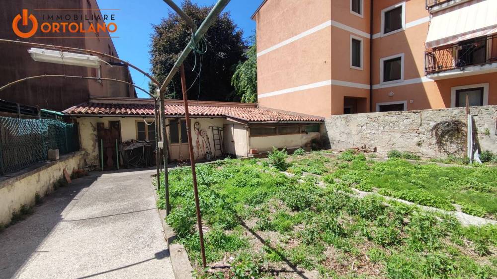 immagine annuncio 2 di 13