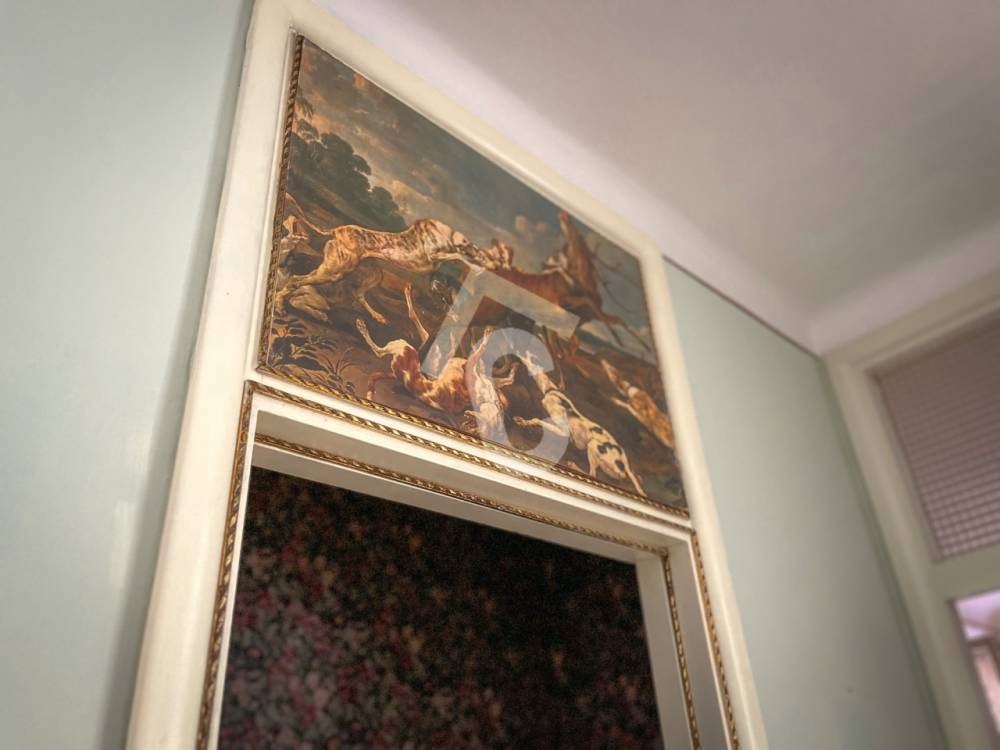 immagine annuncio 12 di 13