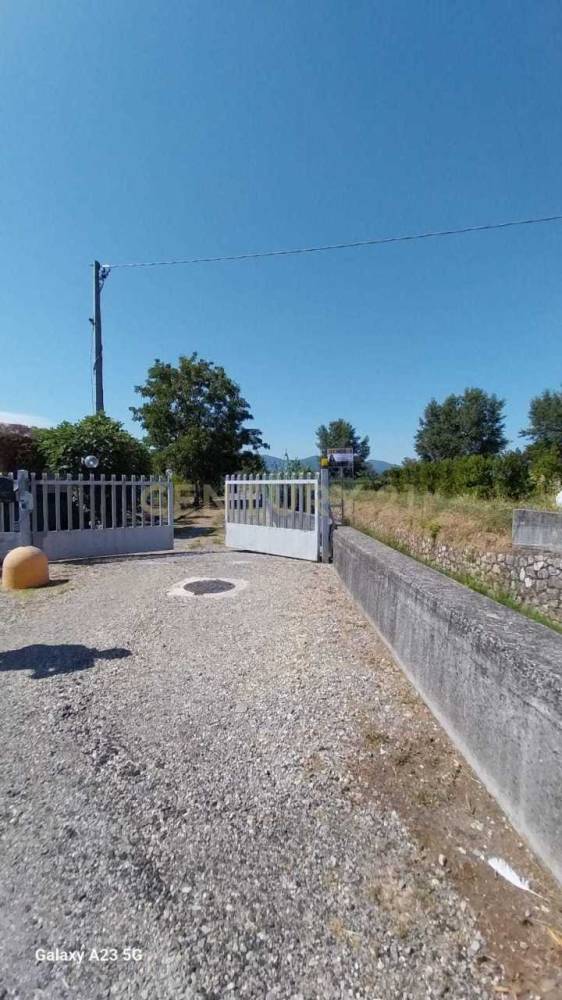 immagine annuncio 0 di 13