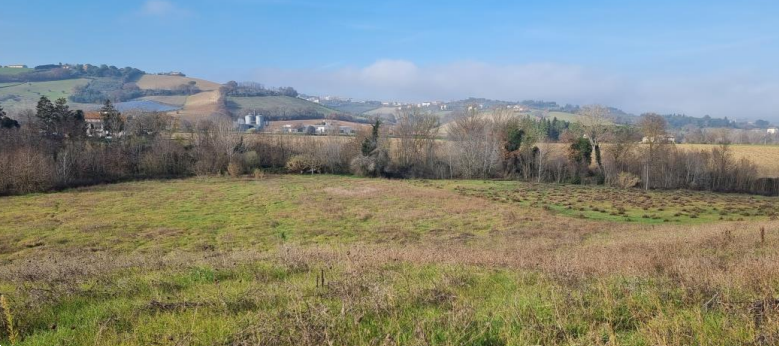 immagine annuncio 2 di 13