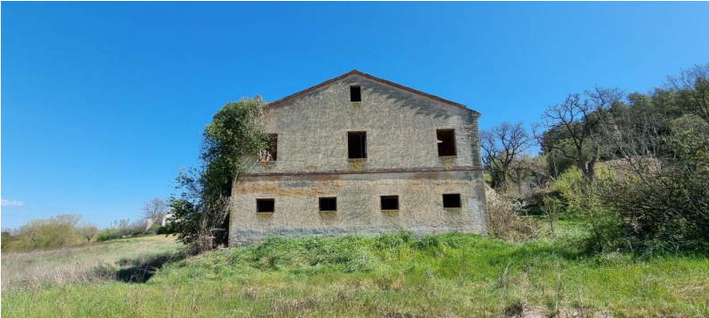 immagine annuncio 4 di 13