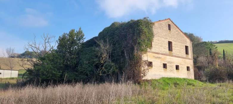 immagine annuncio 5 di 13