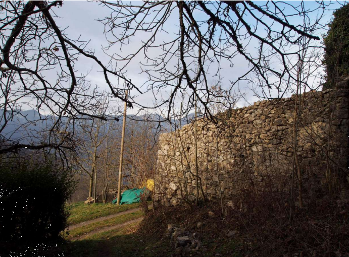 immagine annuncio 4 di 13