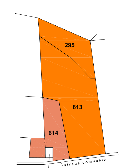 immagine annuncio 9 di 13