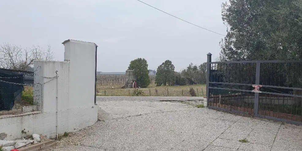 immagine annuncio 1 di 13
