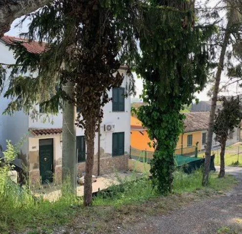 immagine annuncio 7 di 13