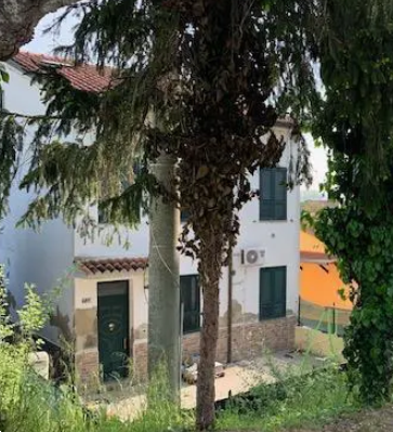 immagine annuncio 10 di 13
