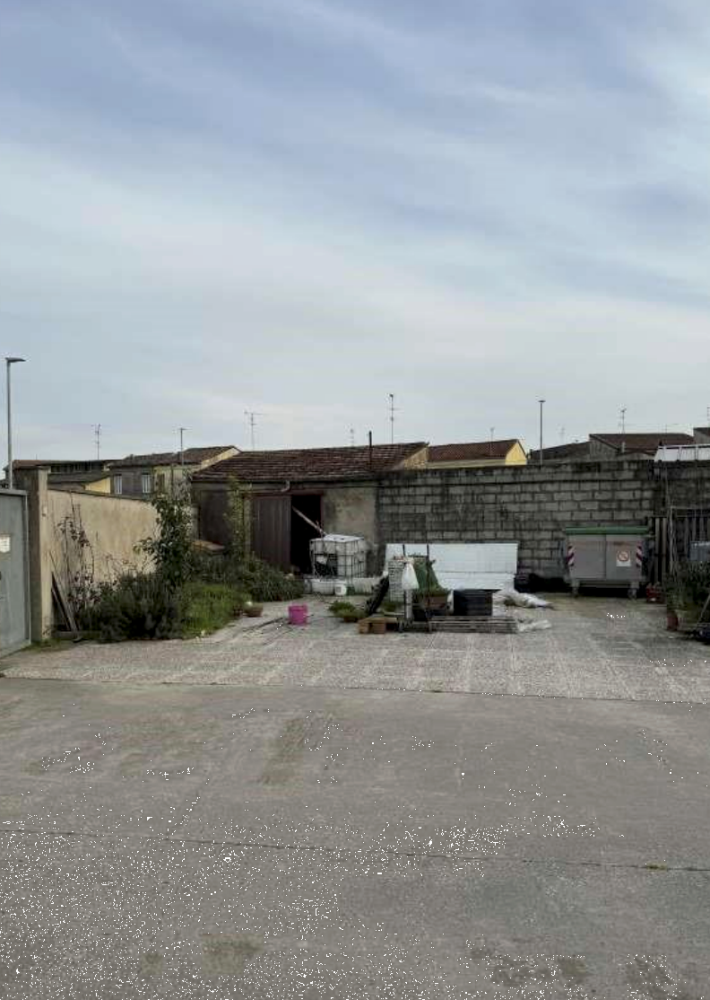 immagine annuncio 6 di 13