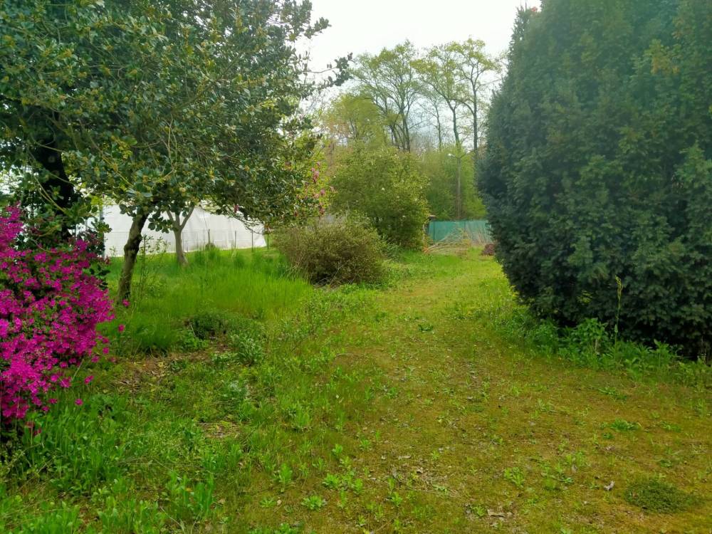 immagine annuncio 7 di 13