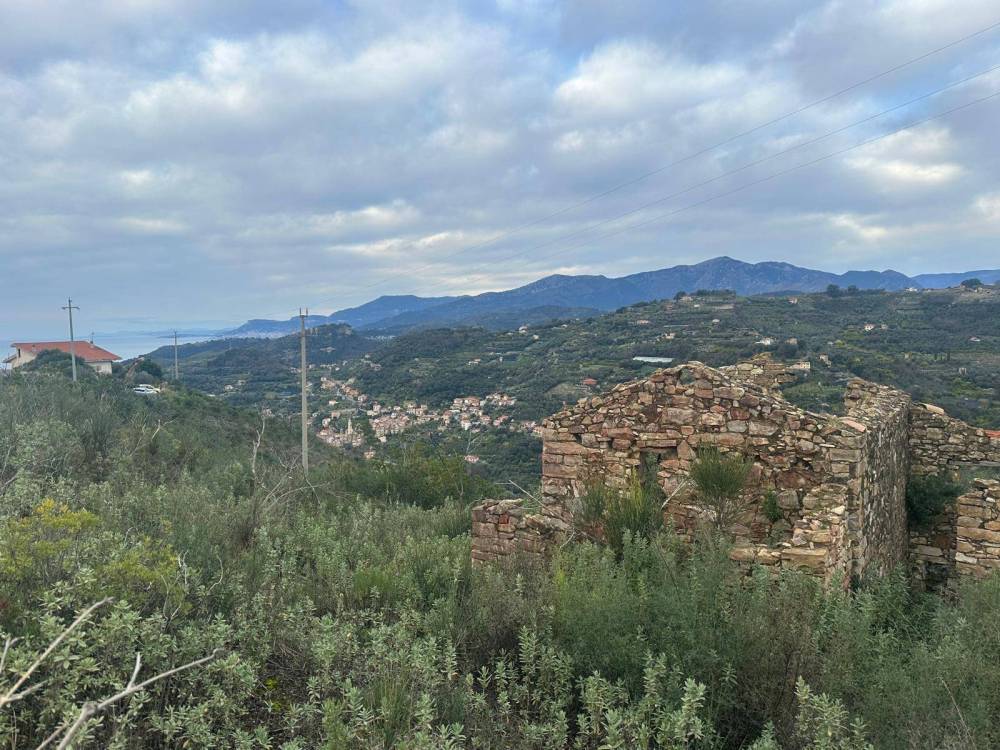 immagine annuncio 12 di 13