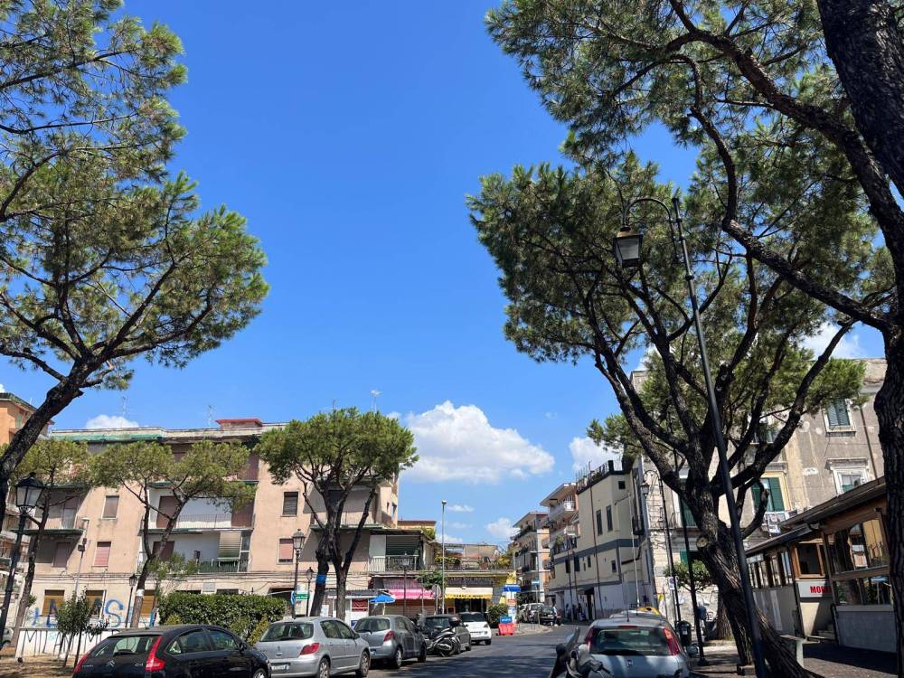 immagine annuncio 6 di 12