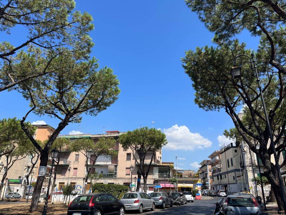 immagine annuncio 1 di 12