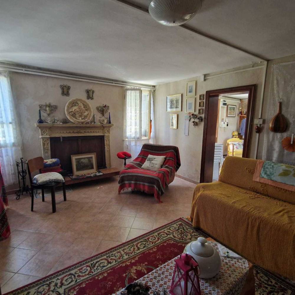 immagine annuncio 3 di 11