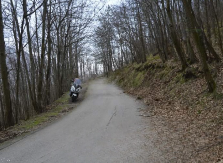immagine annuncio 12 di 13