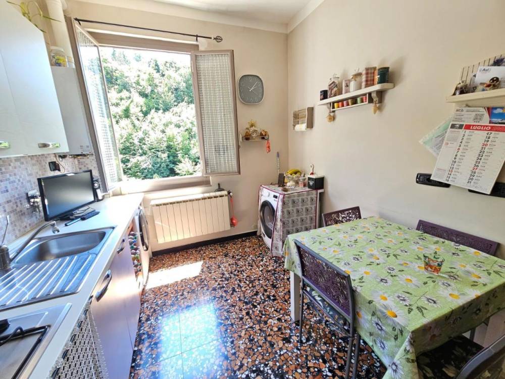 immagine annuncio 5 di 13