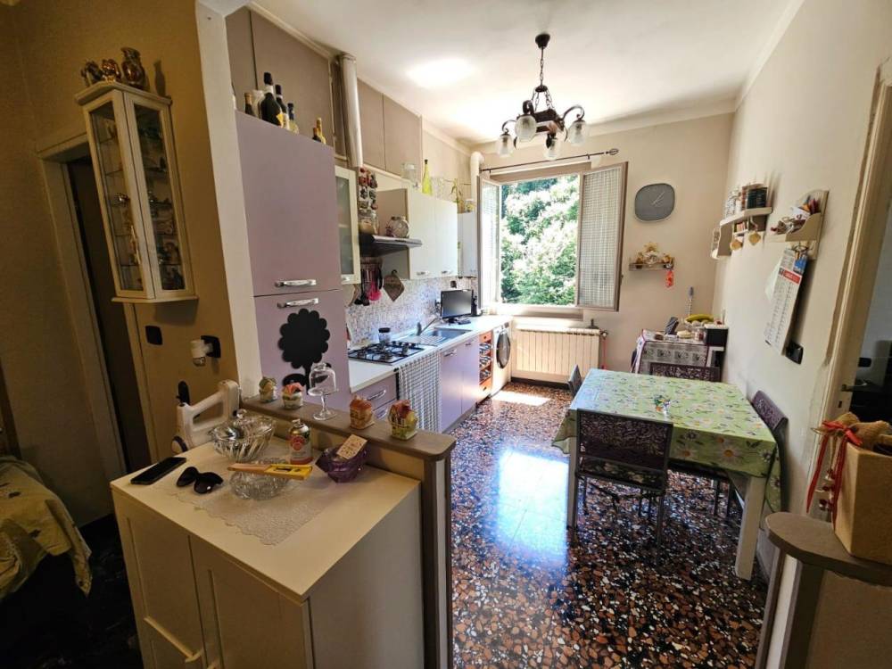 immagine annuncio 6 di 13