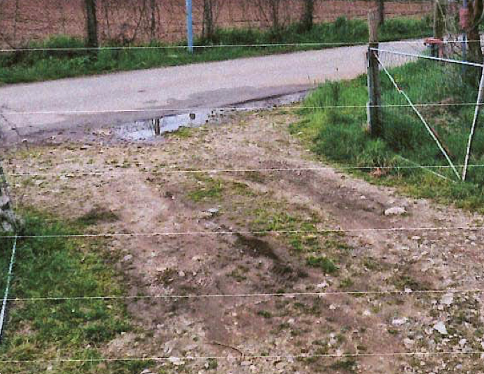 immagine annuncio 8 di 13