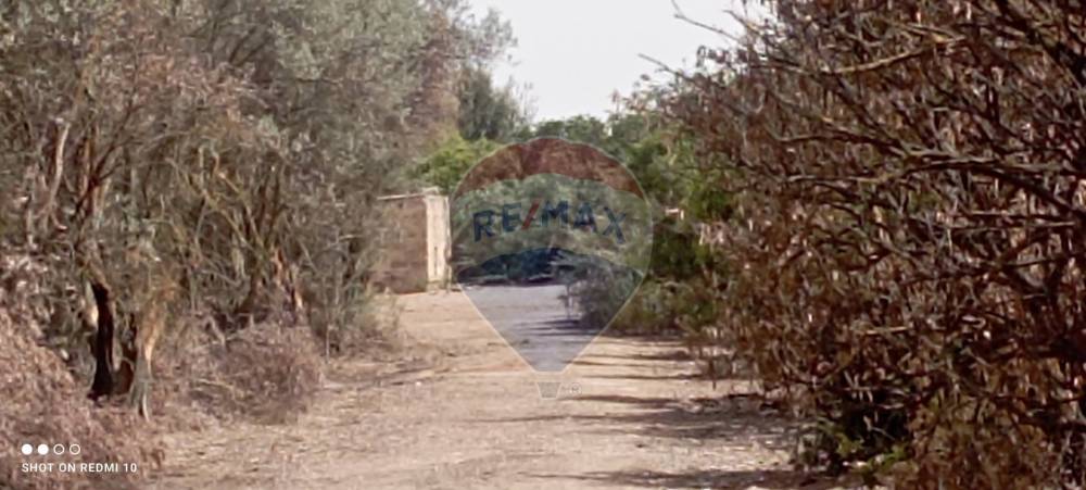 immagine annuncio 6 di 8