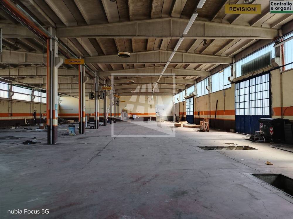 immagine annuncio 6 di 13