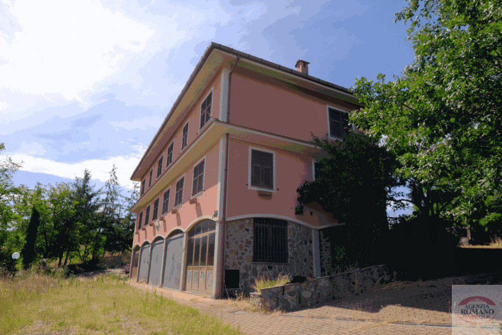 immagine annuncio 2 di 13